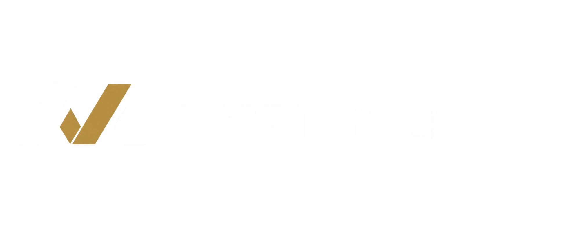 Piket Holdings